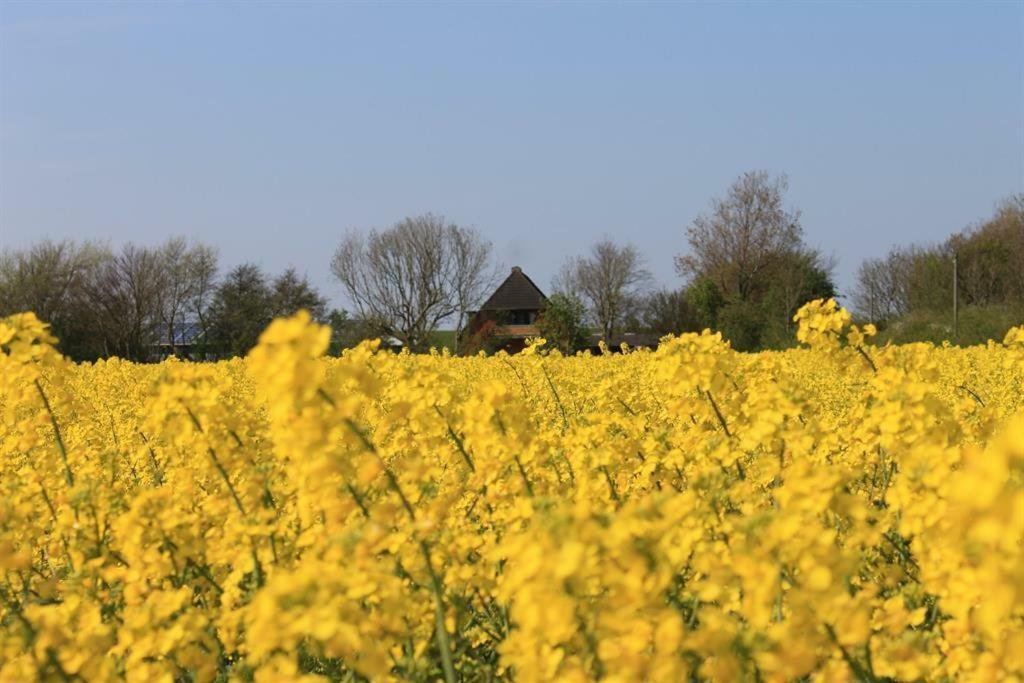 Ferienhof Am Deich Tumlauer Koog Buitenkant foto